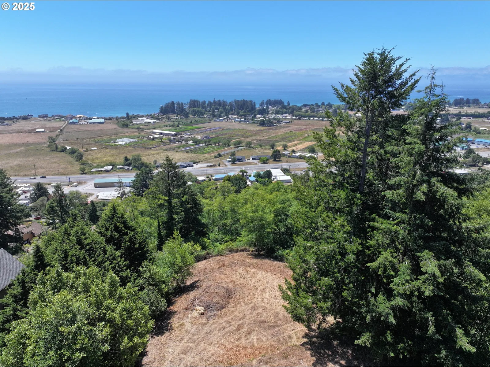 Upper Benham, Brookings, OR 97415 — photograph 16