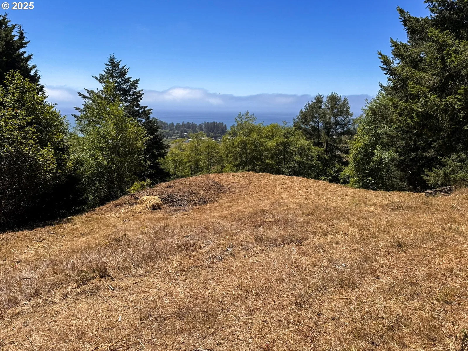 Upper Benham, Brookings, OR 97415 — photograph 15