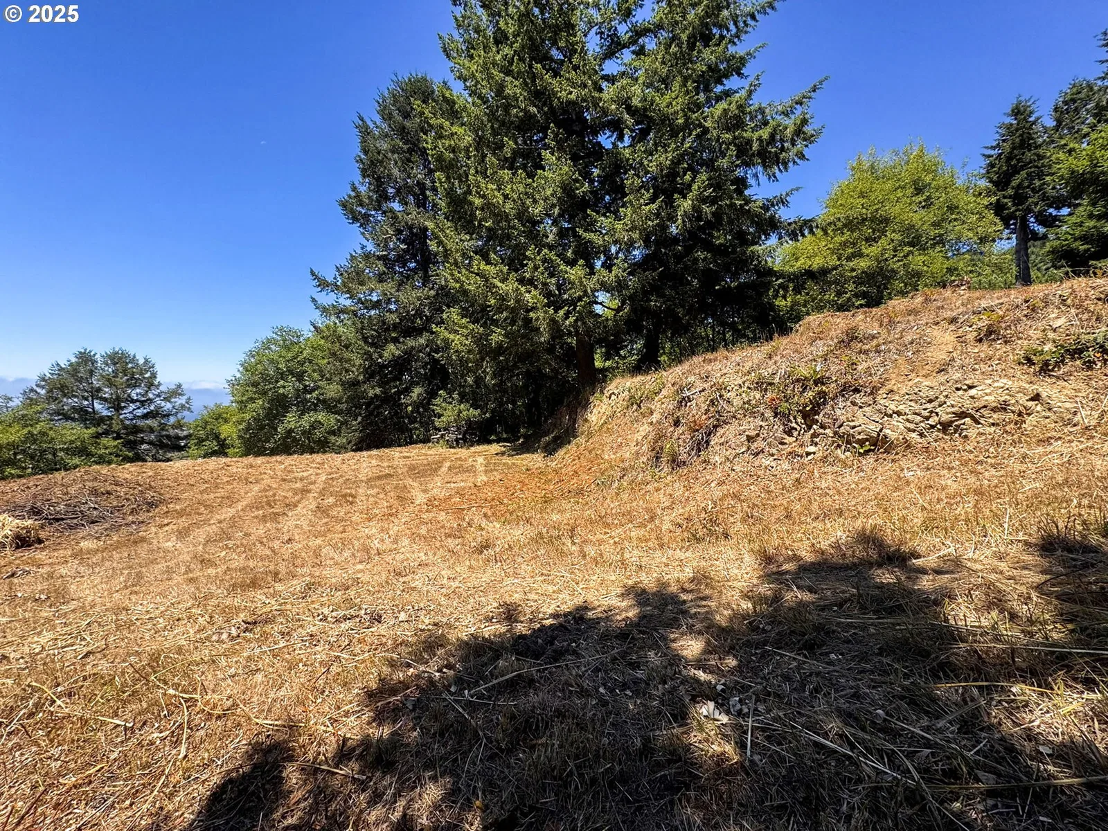 Upper Benham, Brookings, OR 97415 — photograph 21