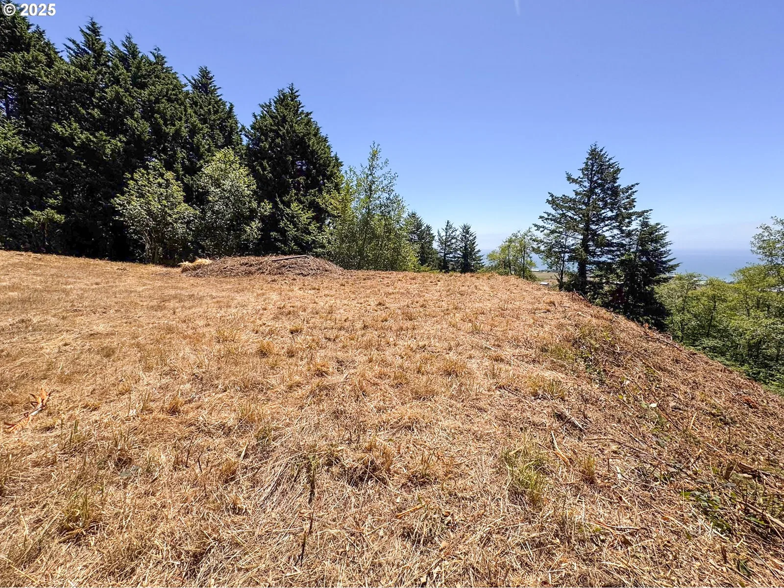 Upper Benham, Brookings, OR 97415 — photograph 25
