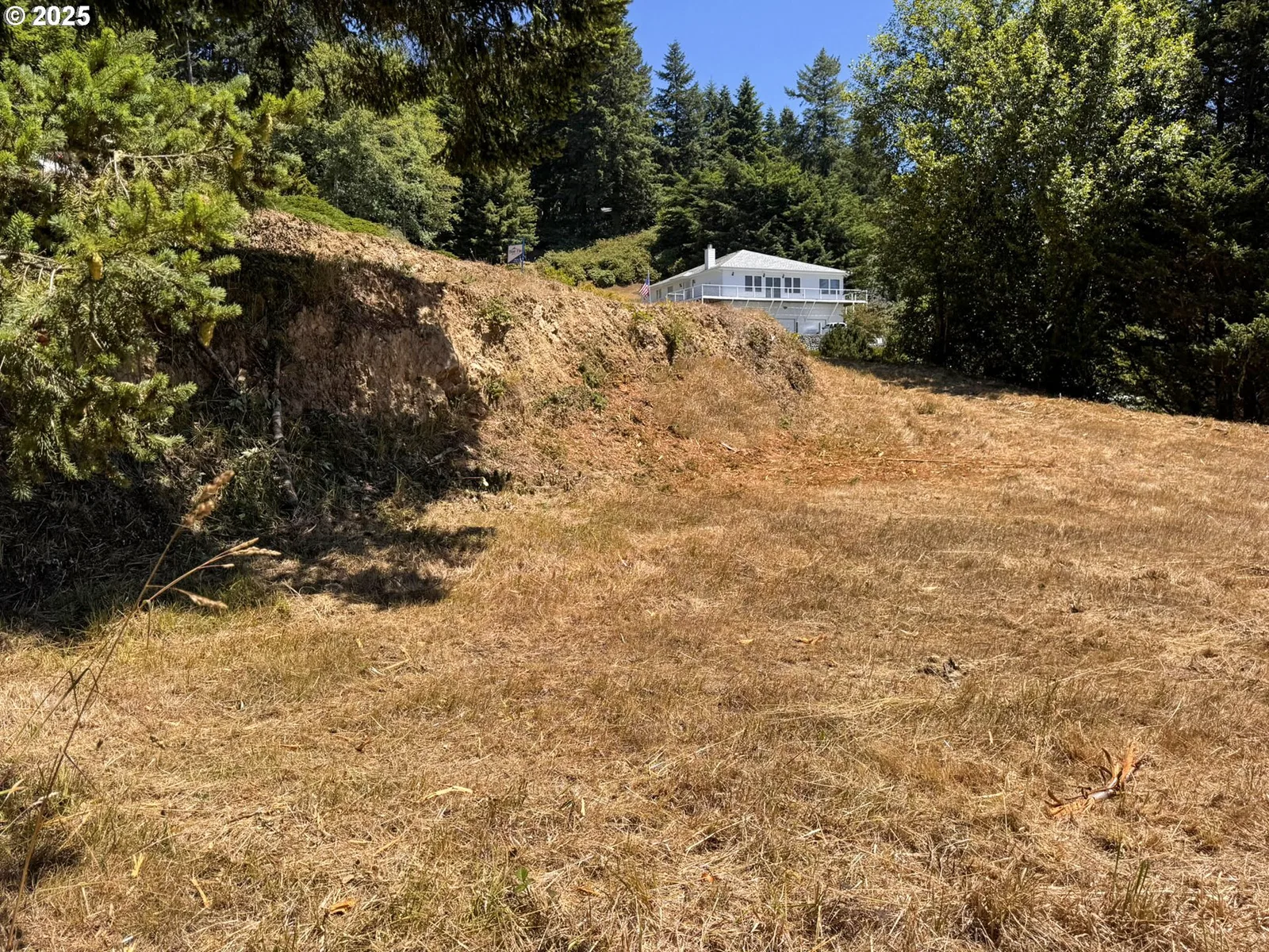 Upper Benham, Brookings, OR 97415 — photograph 27
