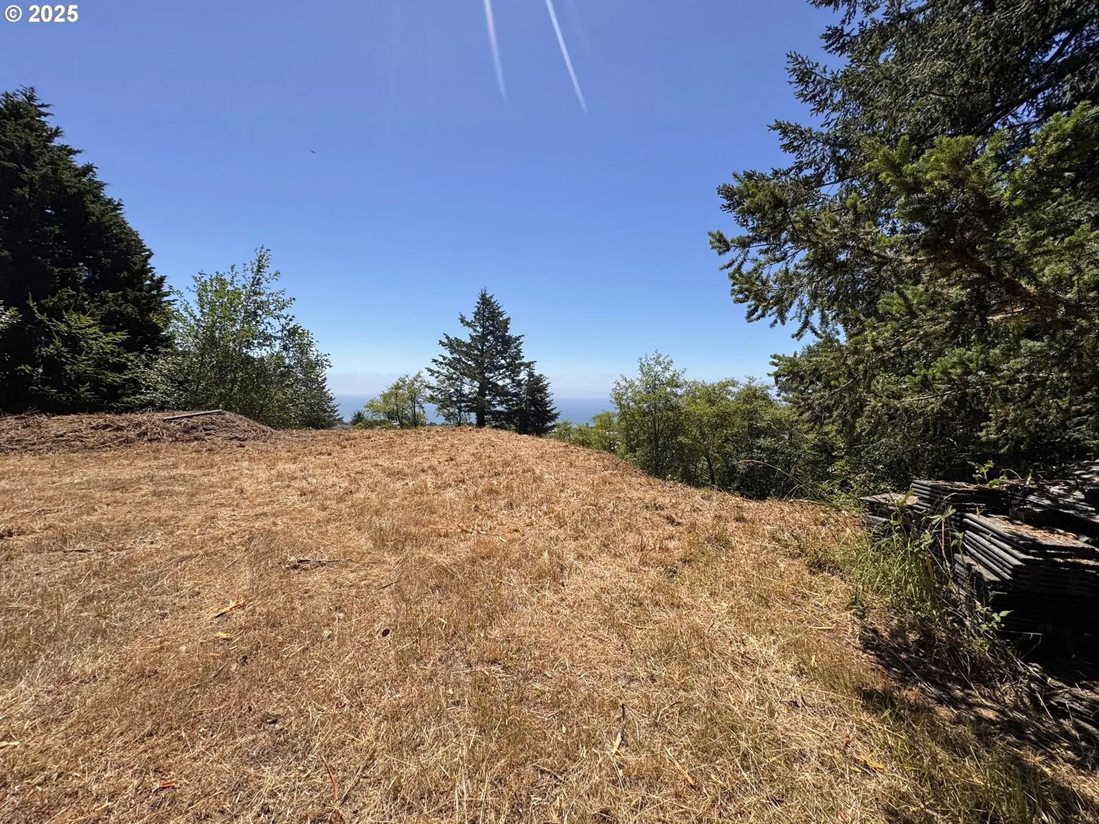 Upper Benham, Brookings, OR 97415 — photograph 26