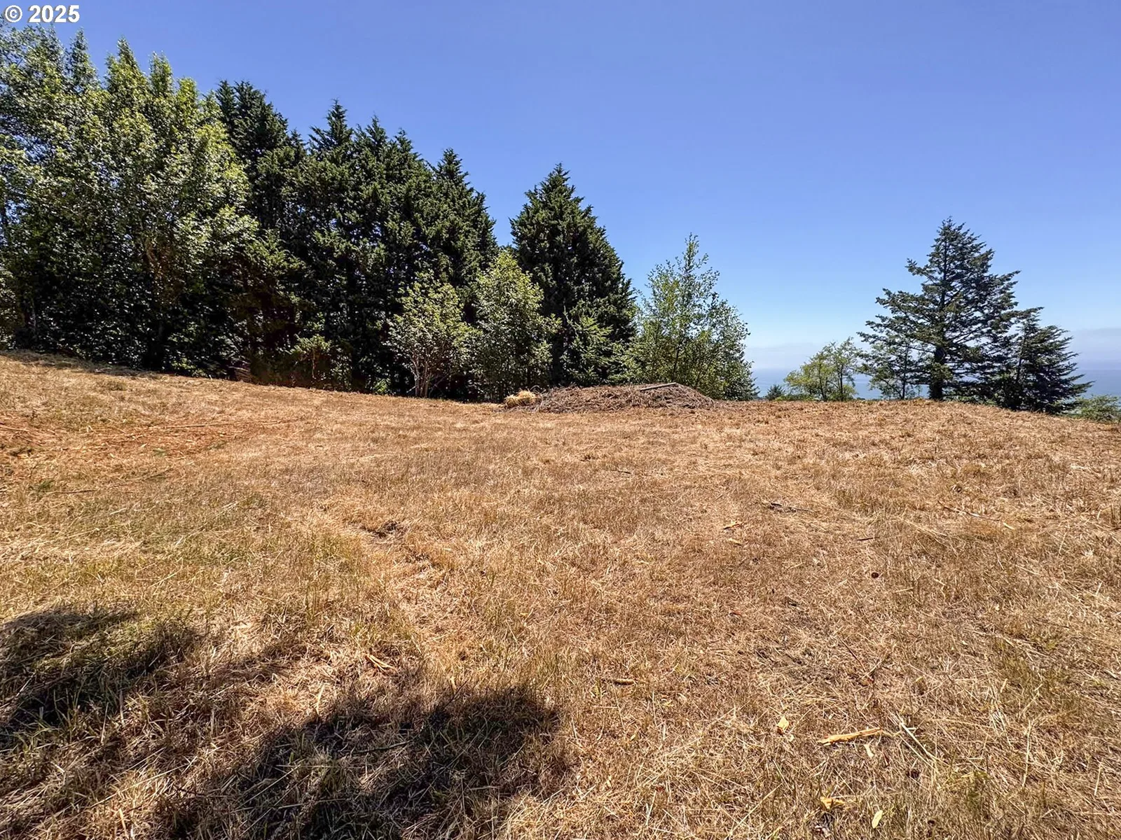 Upper Benham, Brookings, OR 97415 — photograph 29