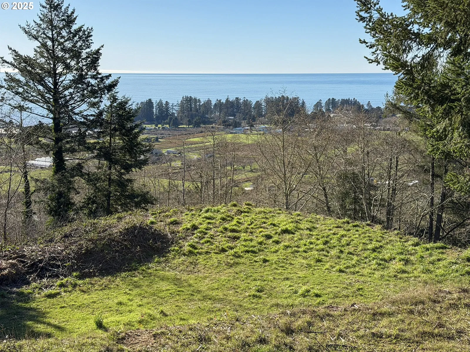 Upper Benham, Brookings, OR 97415 — photograph 9