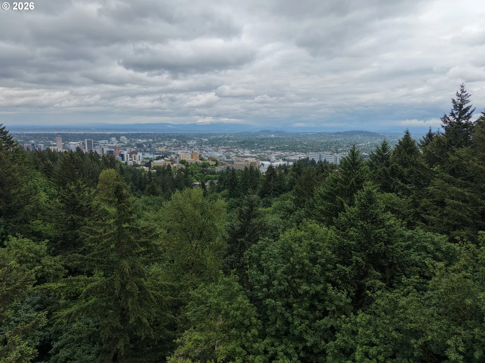0 SW McDonnell, Portland, OR 97239 — photograph 6