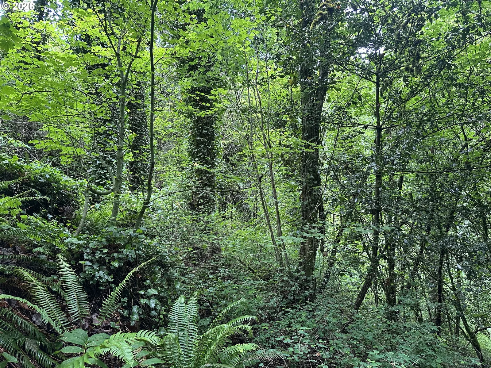 0 SW McDonnell, Portland, OR 97239 — photograph 13
