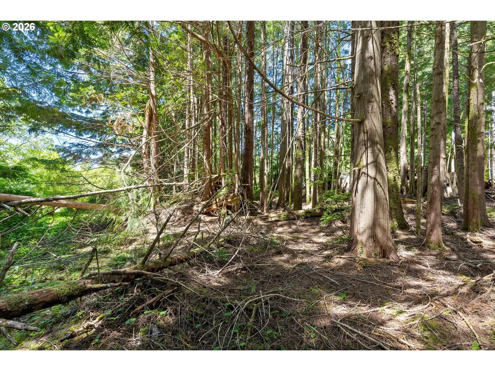 700 SE Blk Terry Pl Tl1900, Depoe Bay, OR 97341 — photograph 9