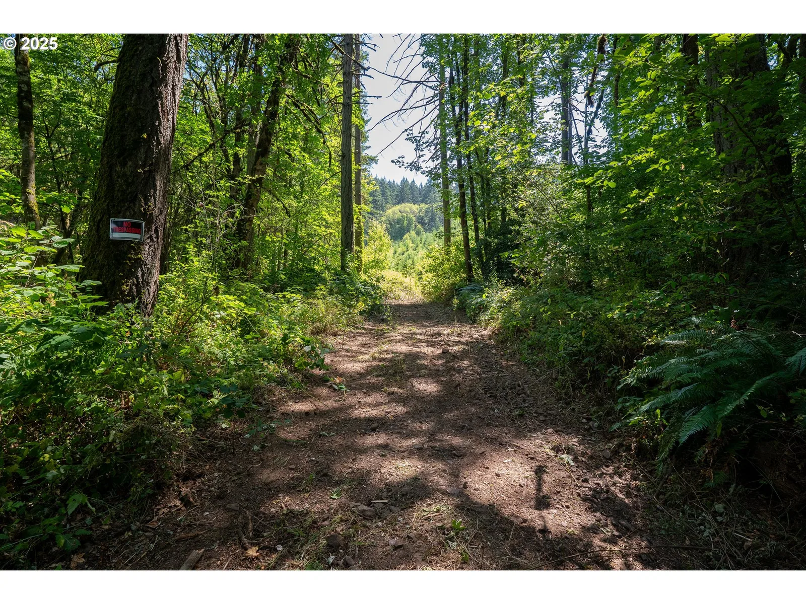 31795 NE Wilsonville Rd, Newberg, OR 97132 — photograph 8