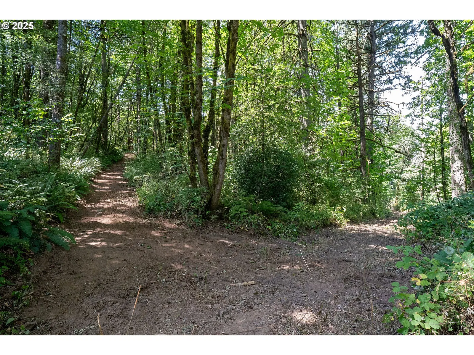 31795 NE Wilsonville Rd, Newberg, OR 97132 — photograph 14