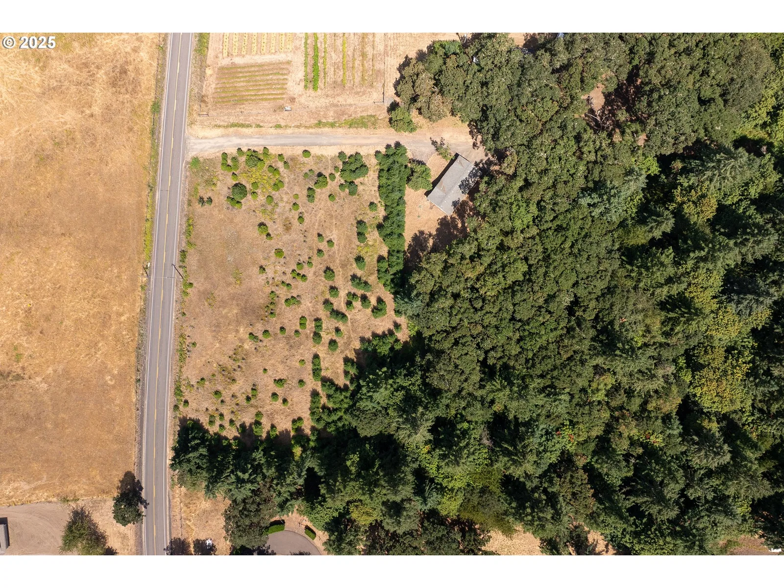 31795 NE Wilsonville Rd, Newberg, OR 97132 — photograph 20