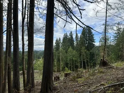 Land at H St, Vernonia, OR 97064