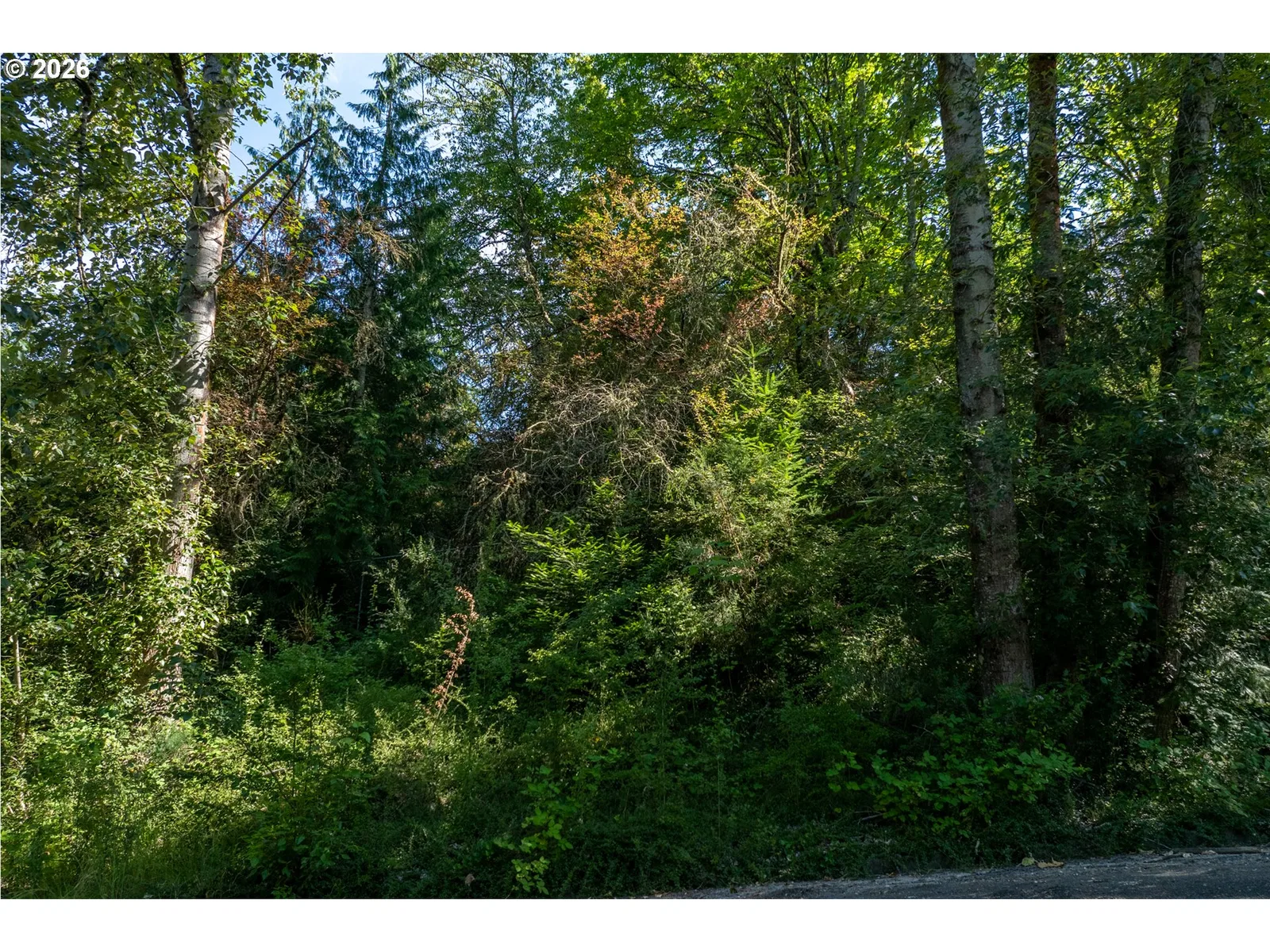 S Powers-2 Ct, Portland, OR 97219 — photograph 6
