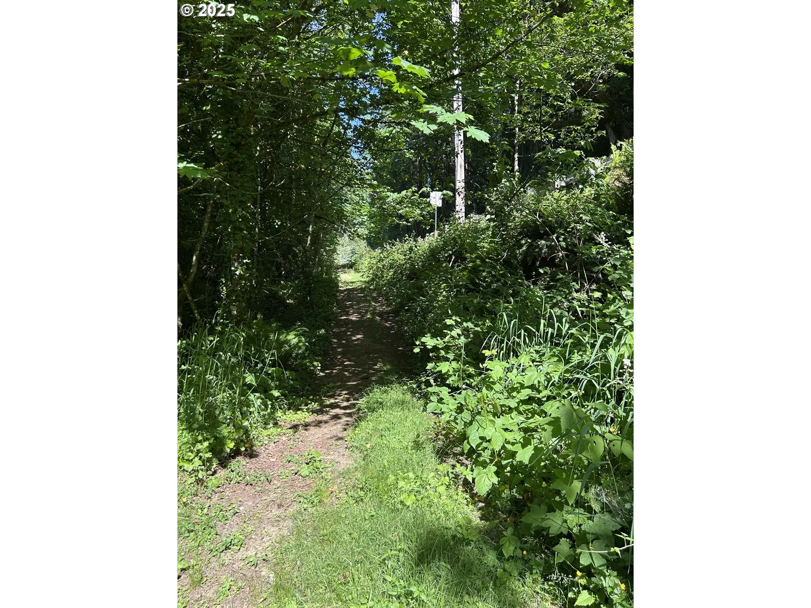 1 E Brightwood Loop Rd, Brightwood, OR 97011 — photograph 13