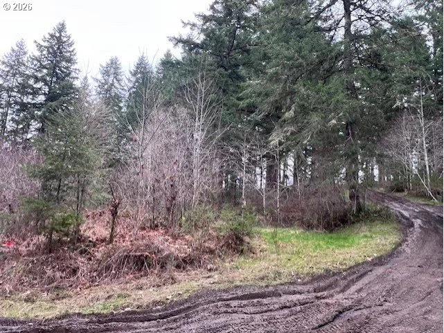 Highway 47, Vernonia, OR 97064 — photograph 23