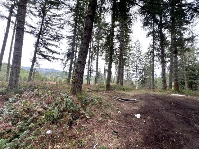 Highway 47, Vernonia, OR 97064 — photograph 8