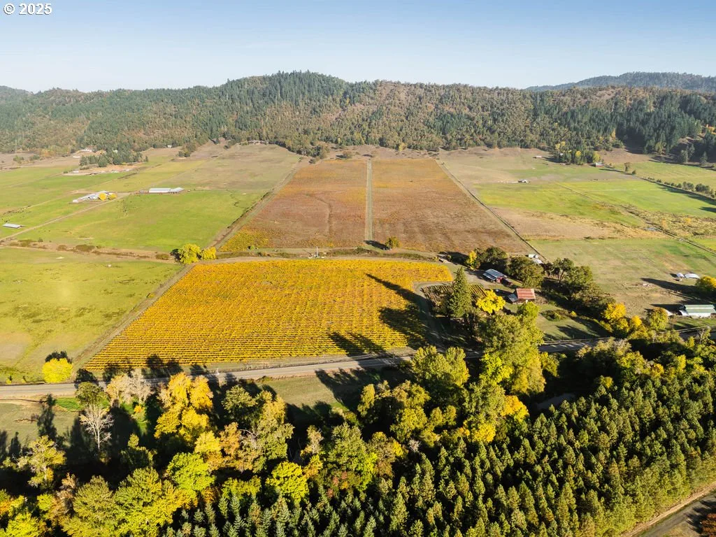 8690 Lookingglass Rd, Roseburg, OR 97471 — photograph 47