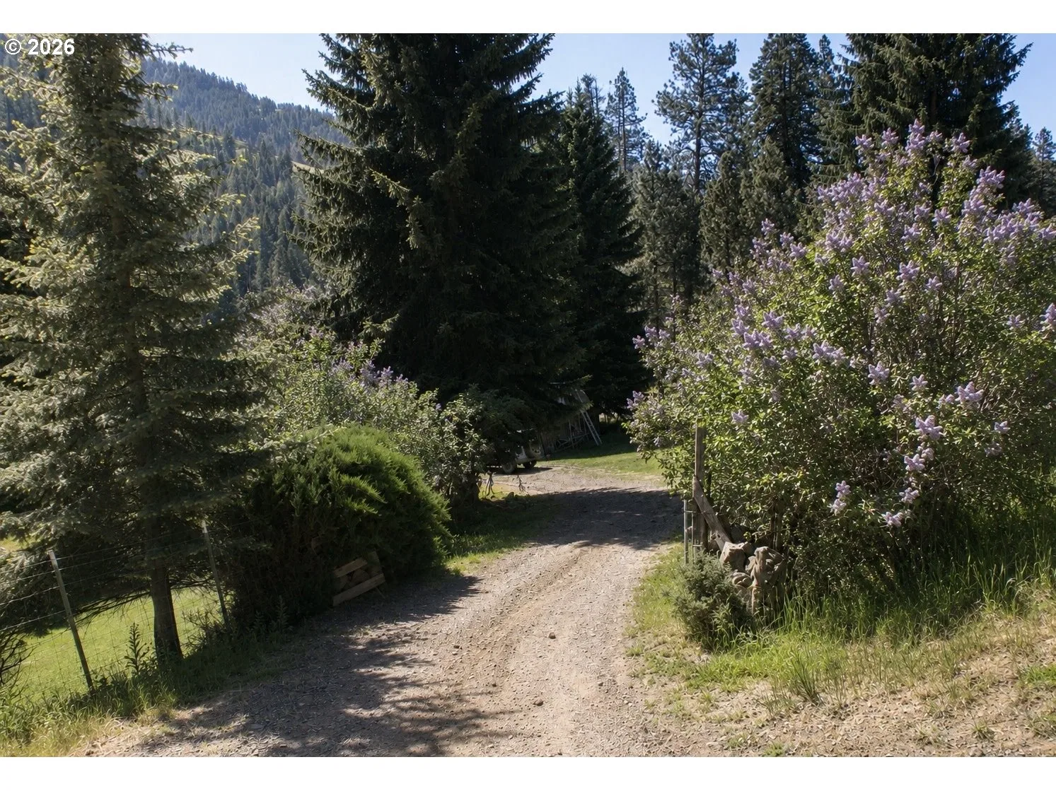 59075 Upper Imnaha Rver Rd, Imnaha, OR 97842 — photograph 15