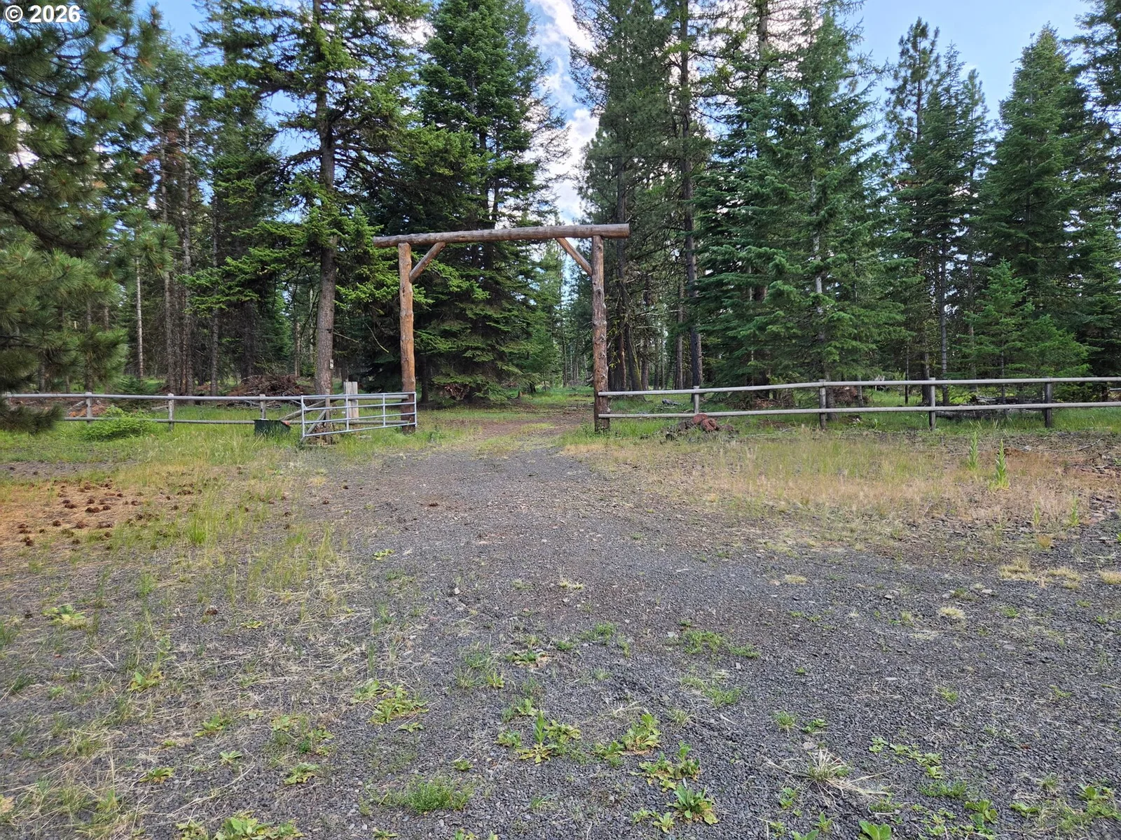 Divide Camp Rd, Joseph, OR 97846 — photograph 43