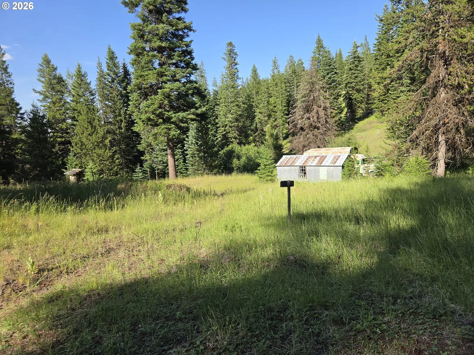 Divide Camp Rd, Joseph, OR 97846 — photograph 48