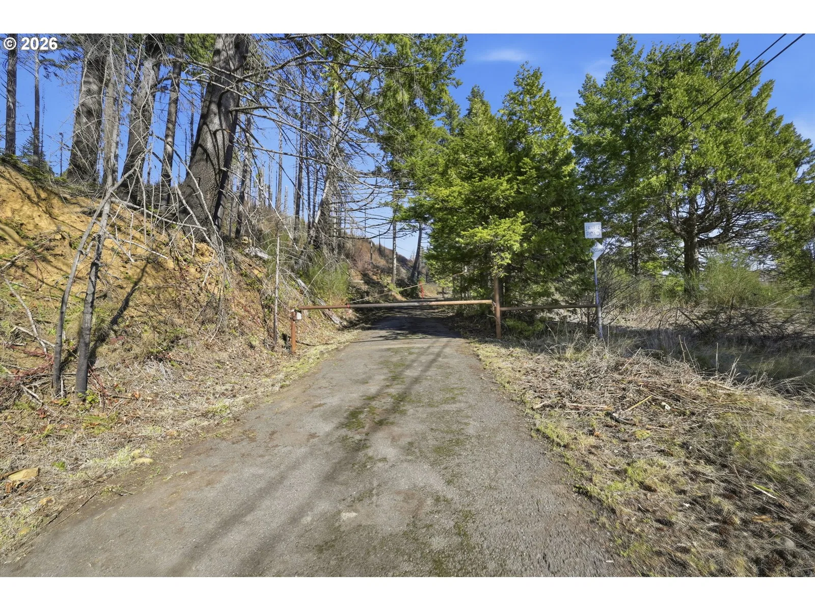 53189 McKenzie Hwy, Blue River, OR 97413 — photograph 9