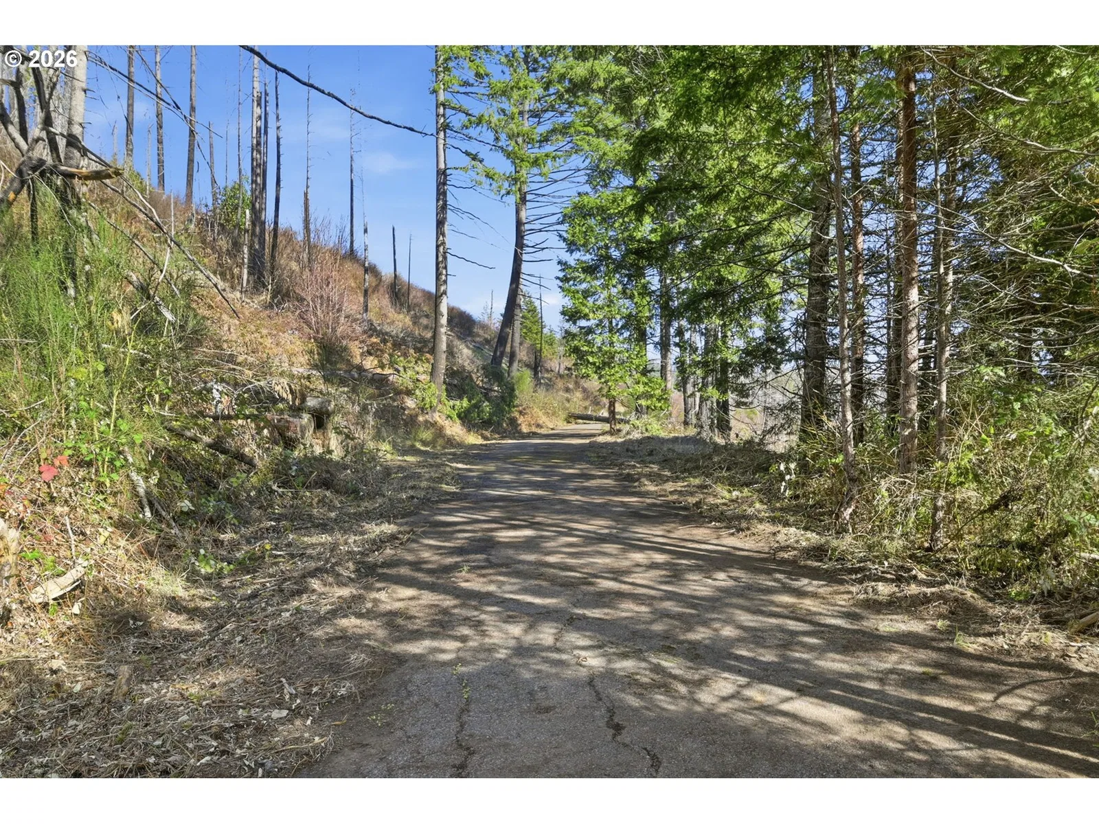 53189 McKenzie Hwy, Blue River, OR 97413 — photograph 10