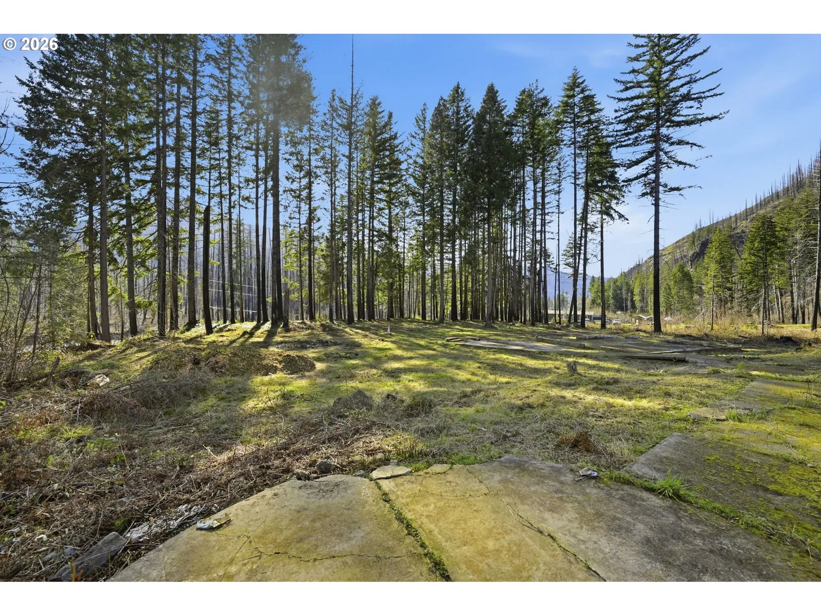 53189 McKenzie Hwy, Blue River, OR 97413 — photograph 19