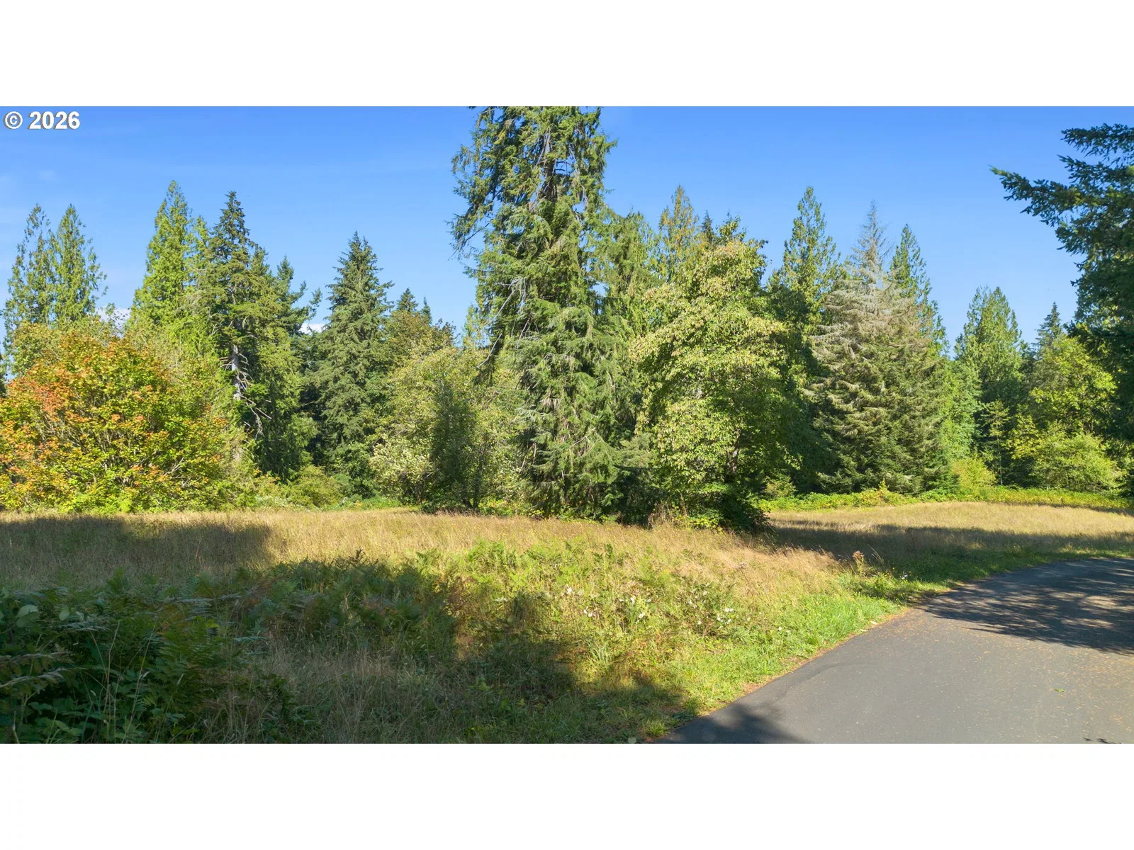 0 Brown Rd 1, Washougal, Wa 98671 — photograph 6