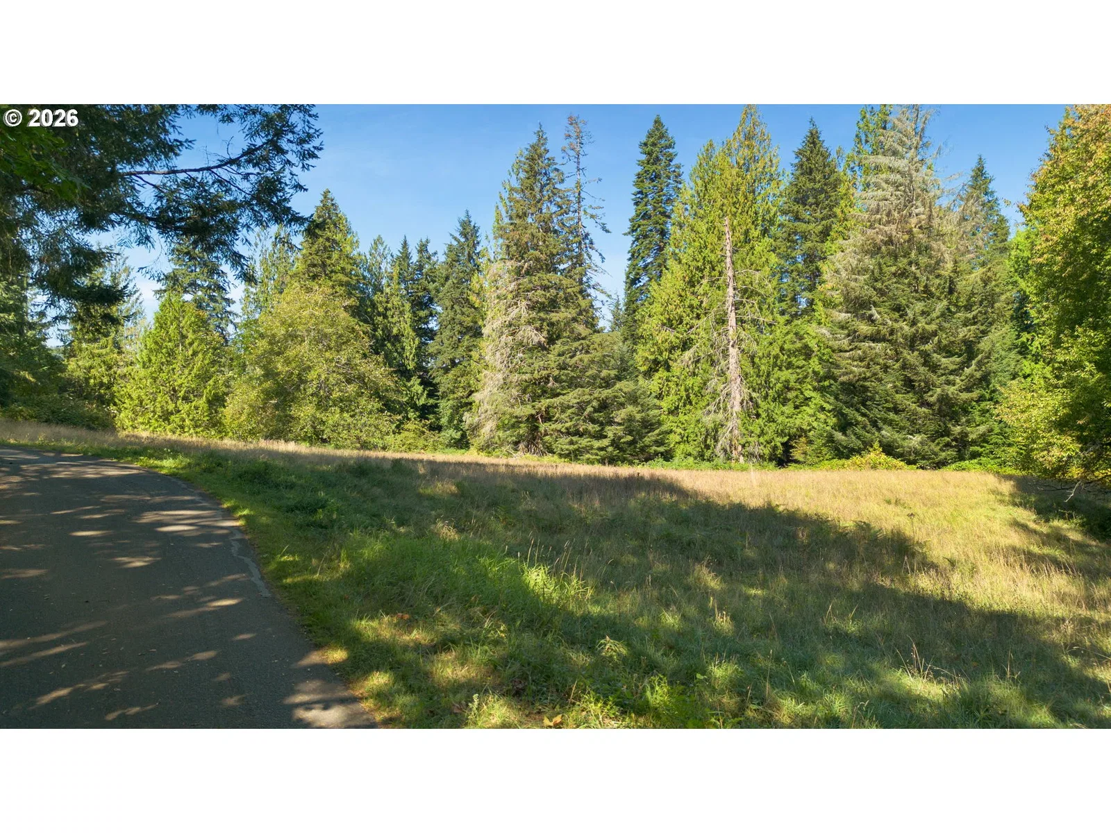 0 Brown Rd 1, Washougal, Wa 98671 — photograph 7