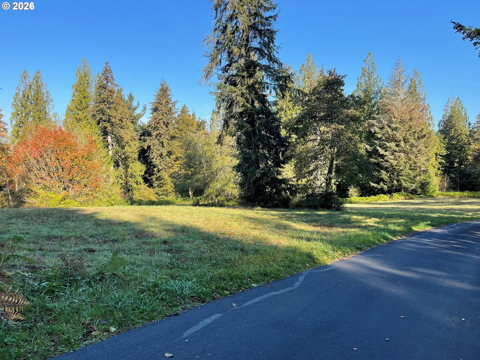 0 Brown Rd 1, Washougal, Wa 98671 — photograph 8