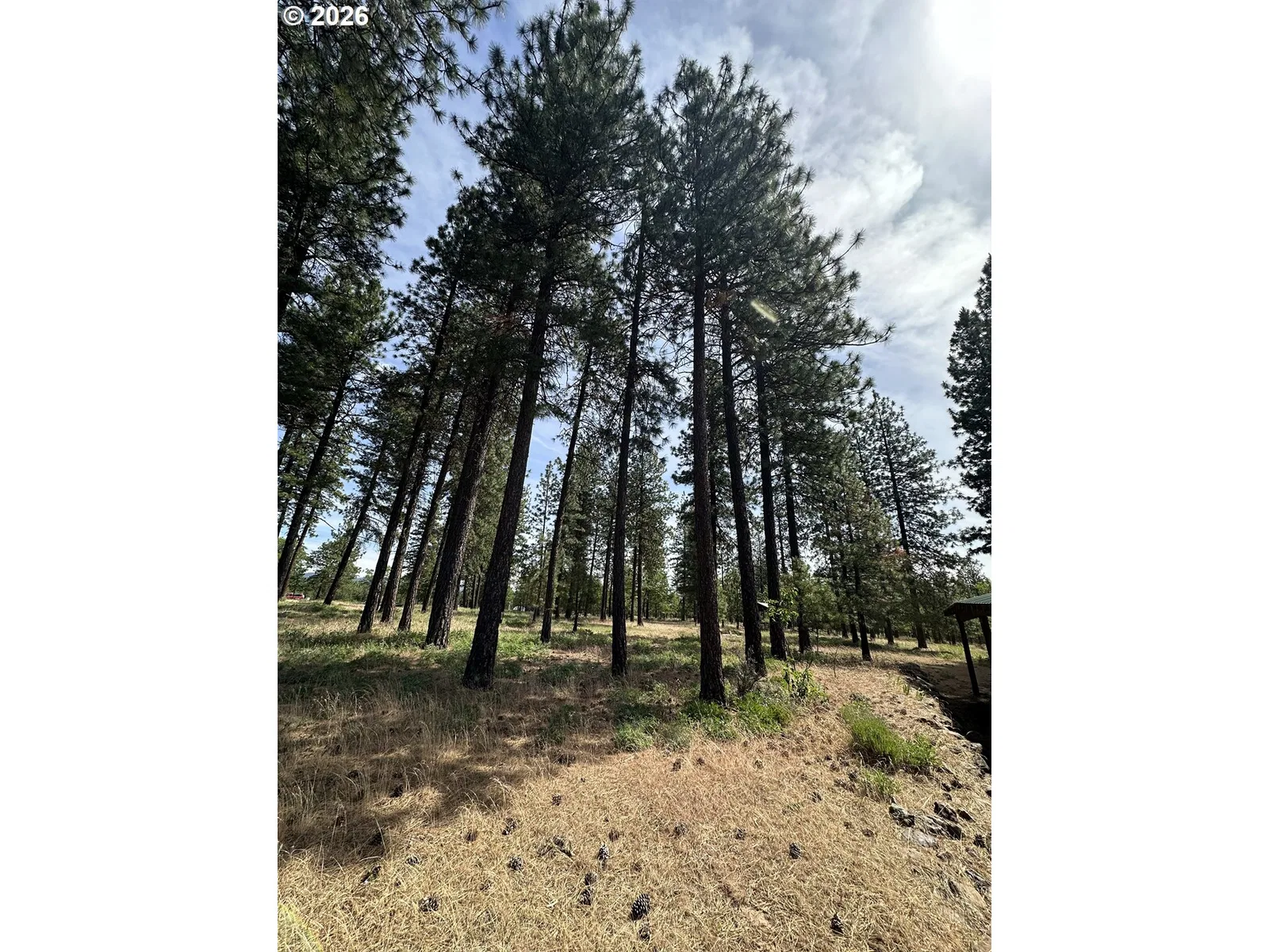 455 Old Mountain Rd, Goldendale, Wa 98620 — photograph 33