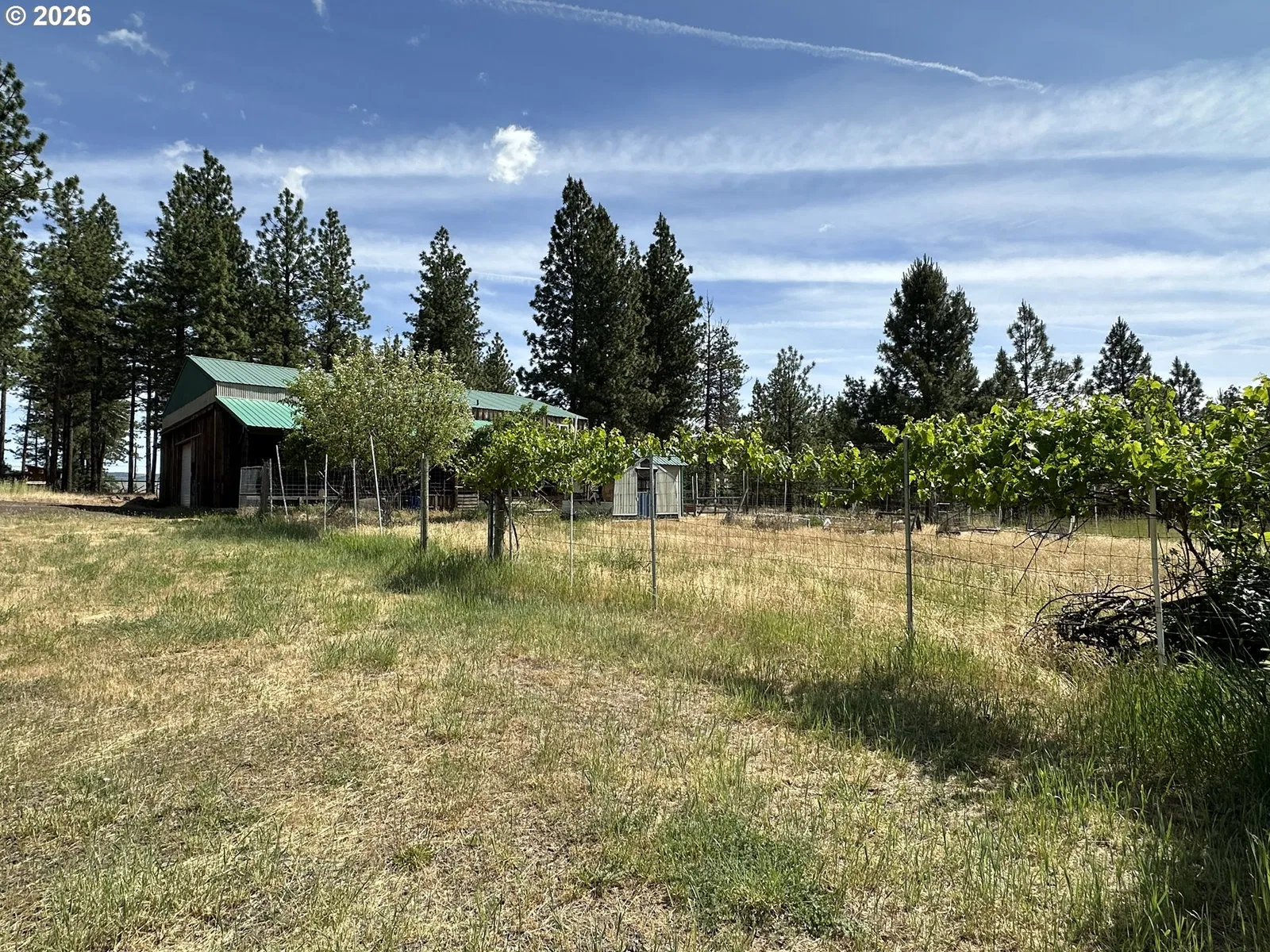 455 Old Mountain Rd, Goldendale, Wa 98620 — photograph 41