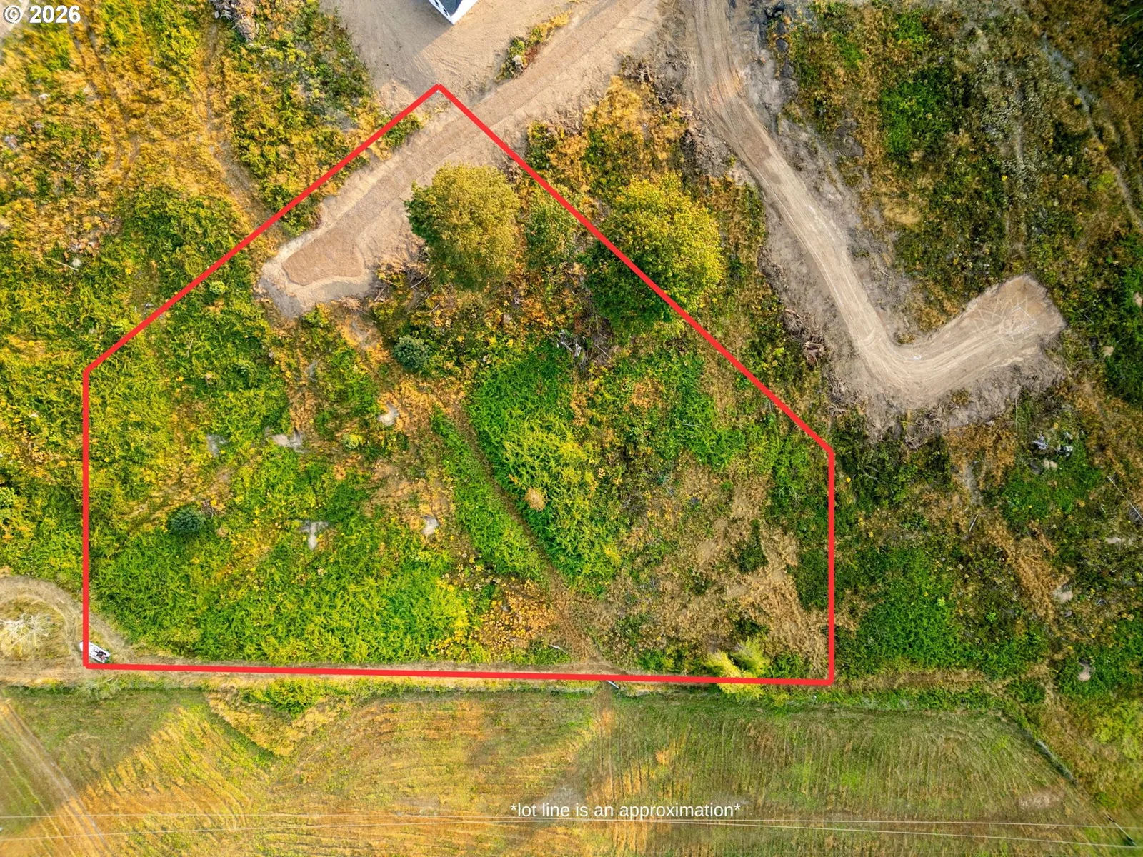 391 Brook Valley Rd, Kelso, Wa 98626 — photograph 14