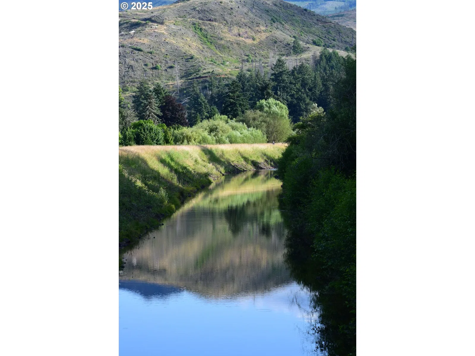 44561 McKenzie Hwy, Leaburg, OR 97489 — photograph 9