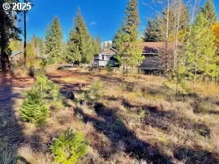 29 Trout Lake Park Rd, Trout Lake, Wa 98650 — photograph 12