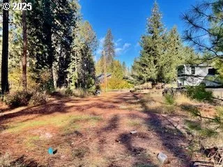 29 Trout Lake Park Rd, Trout Lake, Wa 98650 — photograph 17