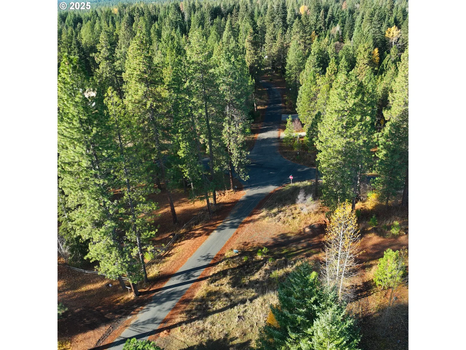 29 Trout Lake Park Rd, Trout Lake, Wa 98650 — photograph 10