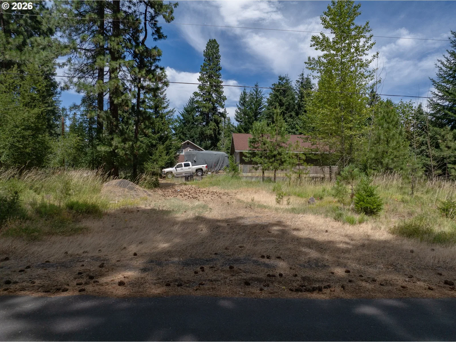 29 Trout Lake Park Rd, Trout Lake, Wa 98650 — photograph 14
