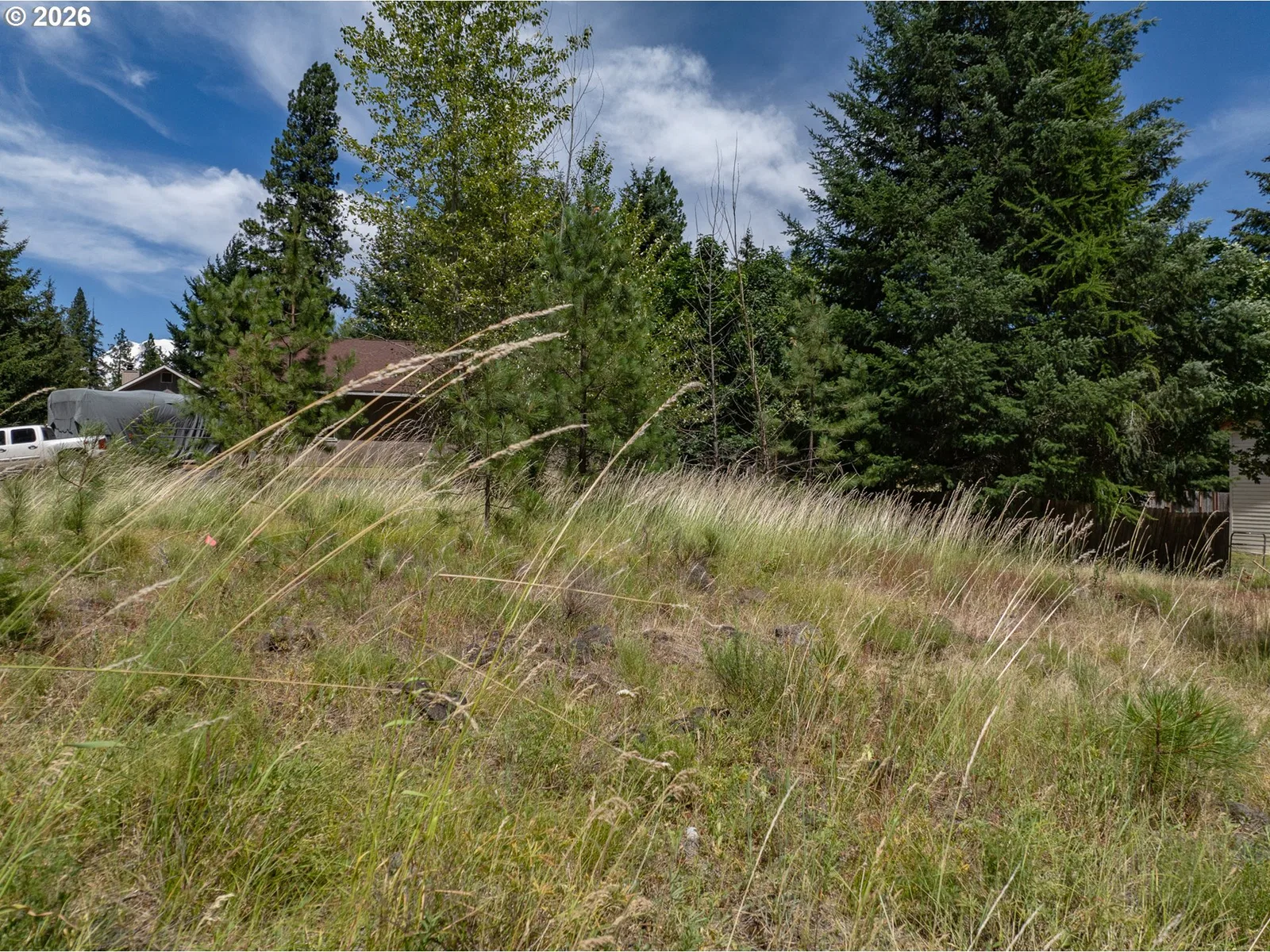 29 Trout Lake Park Rd, Trout Lake, Wa 98650 — photograph 13