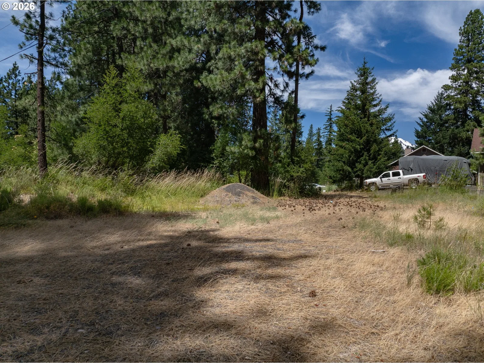 29 Trout Lake Park Rd, Trout Lake, Wa 98650 — photograph 16