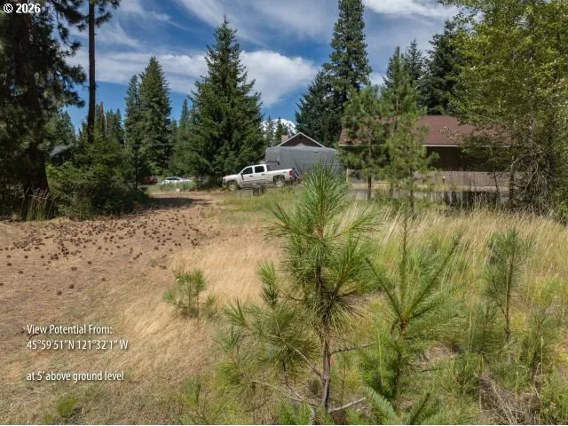 29 Trout Lake Park Rd, Trout Lake, Wa 98650 — photograph 23
