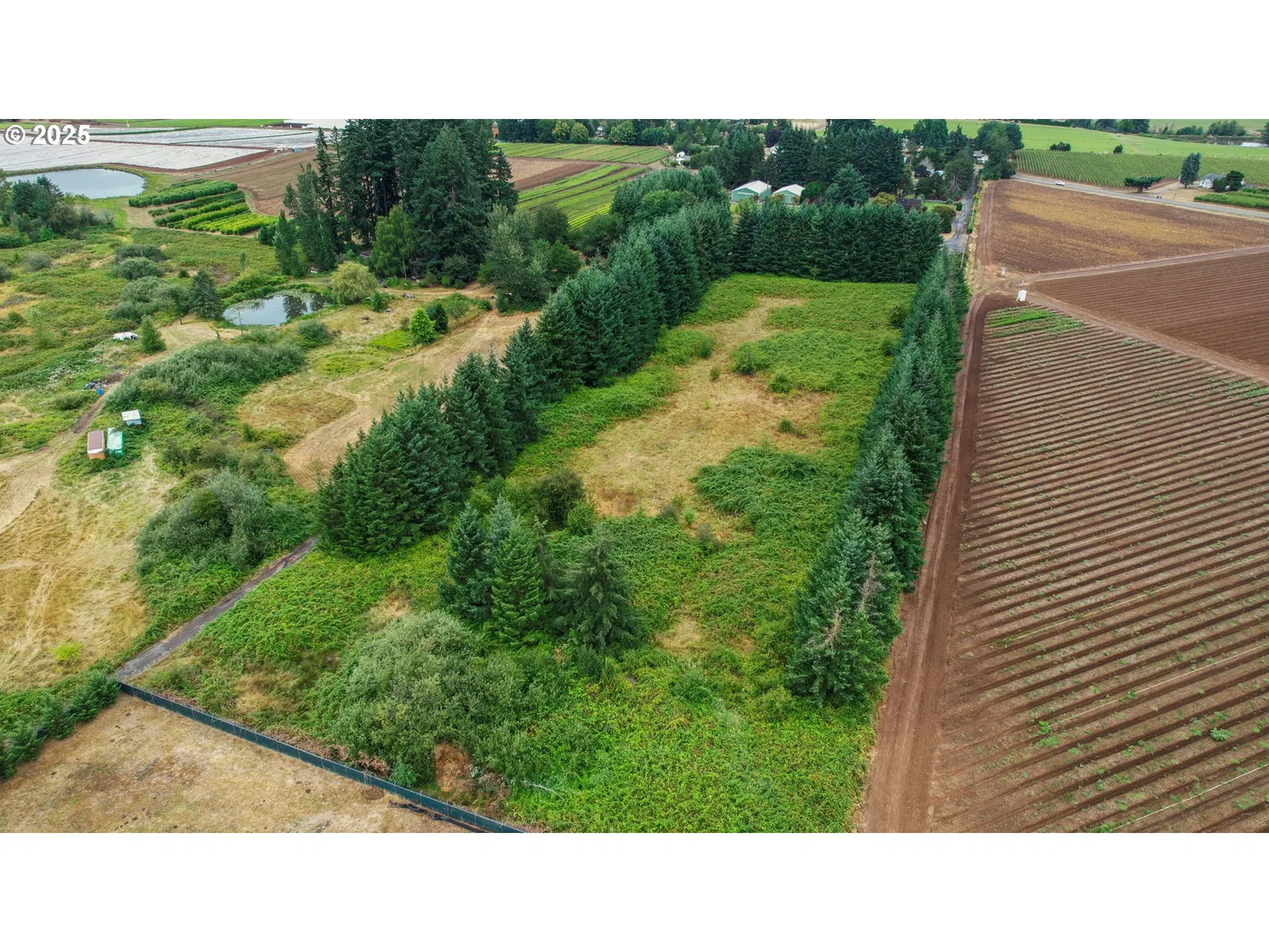 33685 SE Kelso Rd, Boring, OR 97009 — photograph 32