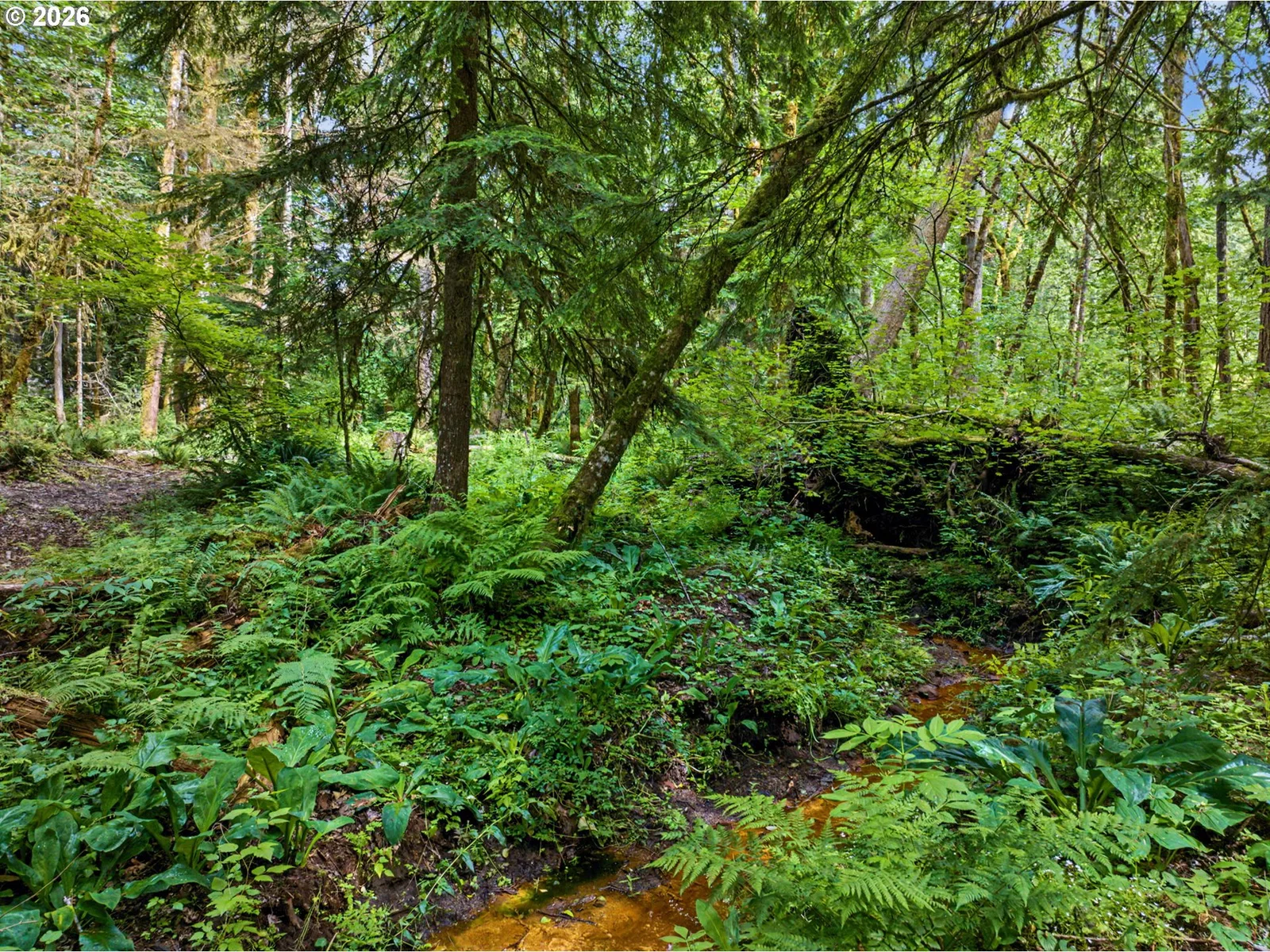 64601 E Brightwood Loop Rd, Brightwood, OR 97011 — photograph 35