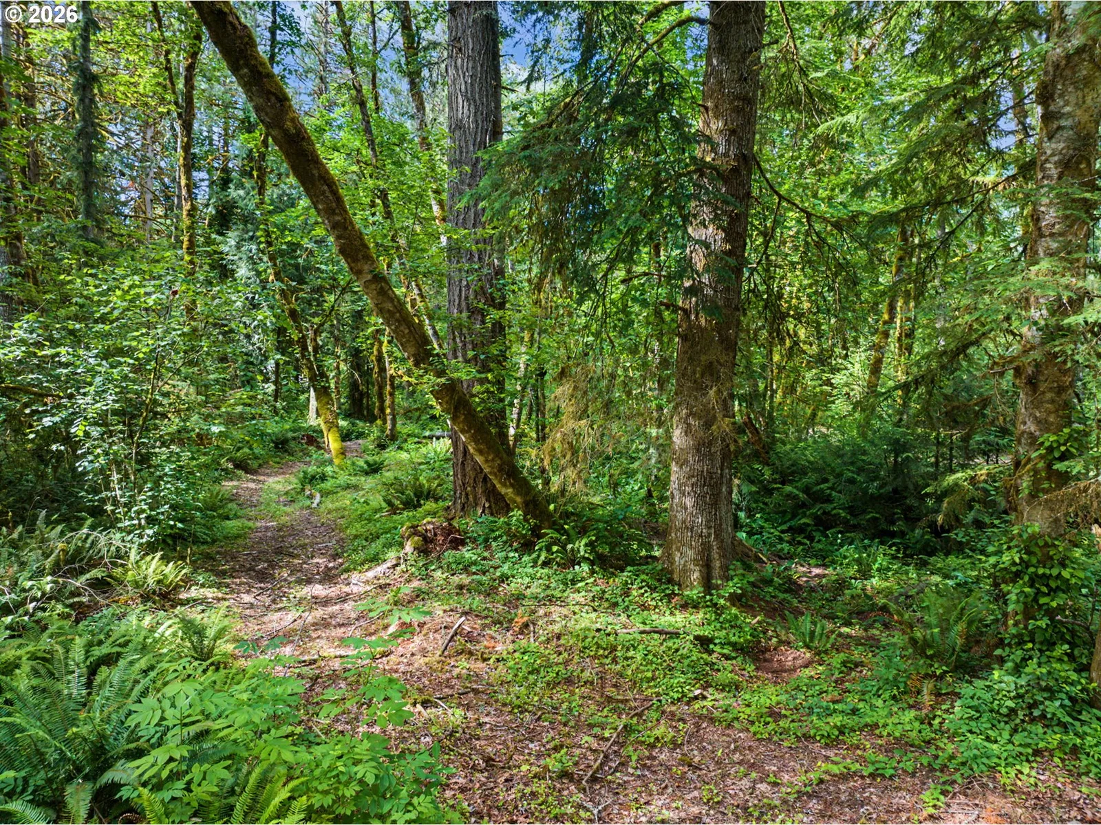 64601 E Brightwood Loop Rd, Brightwood, OR 97011 — photograph 36