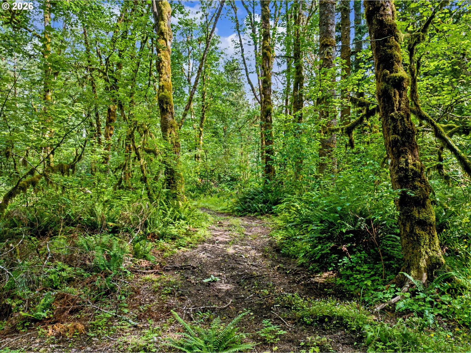 64601 E Brightwood Loop Rd, Brightwood, OR 97011 — photograph 38