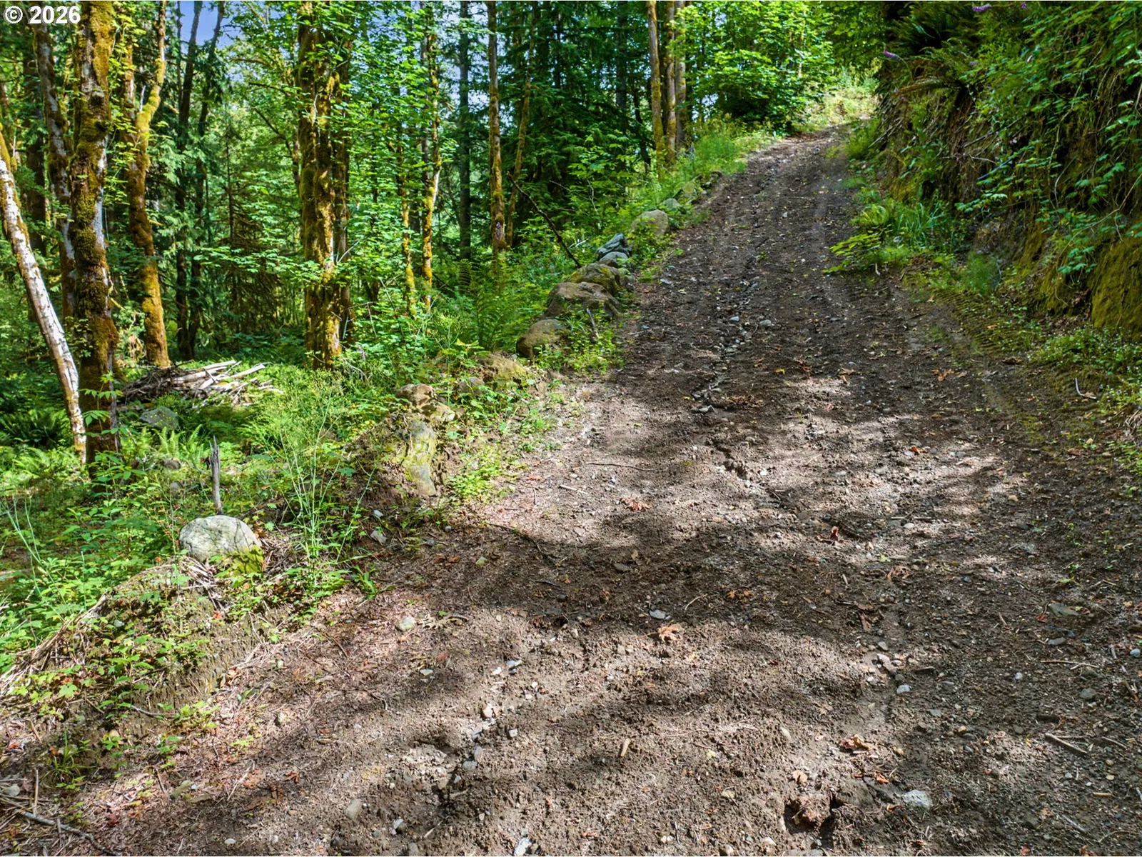 64601 E Brightwood Loop Rd, Brightwood, OR 97011 — photograph 43