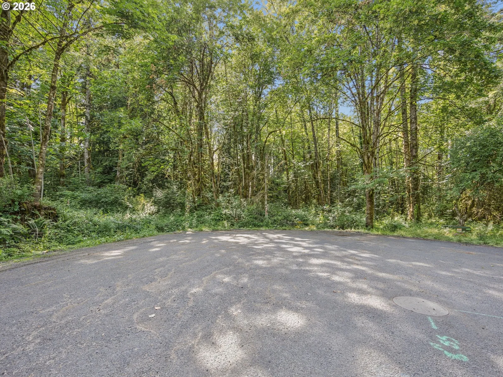 64601 E Brightwood Loop Rd, Brightwood, OR 97011 — photograph 32
