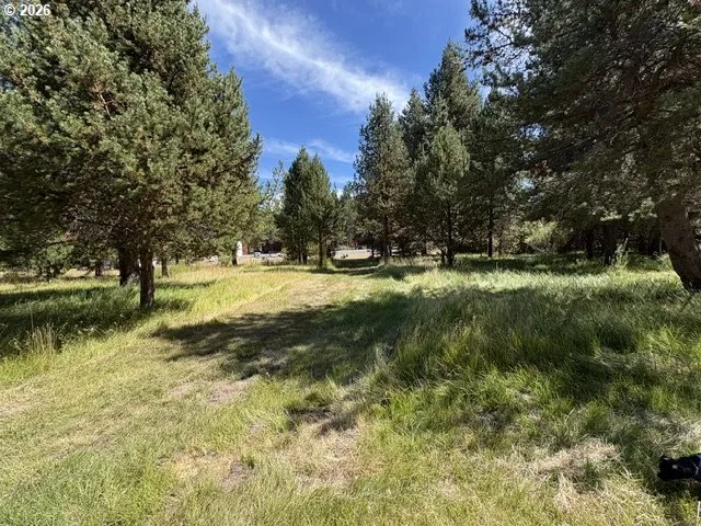 130126 Muley Dr, Crescent Lake, OR 97733 — photograph 42