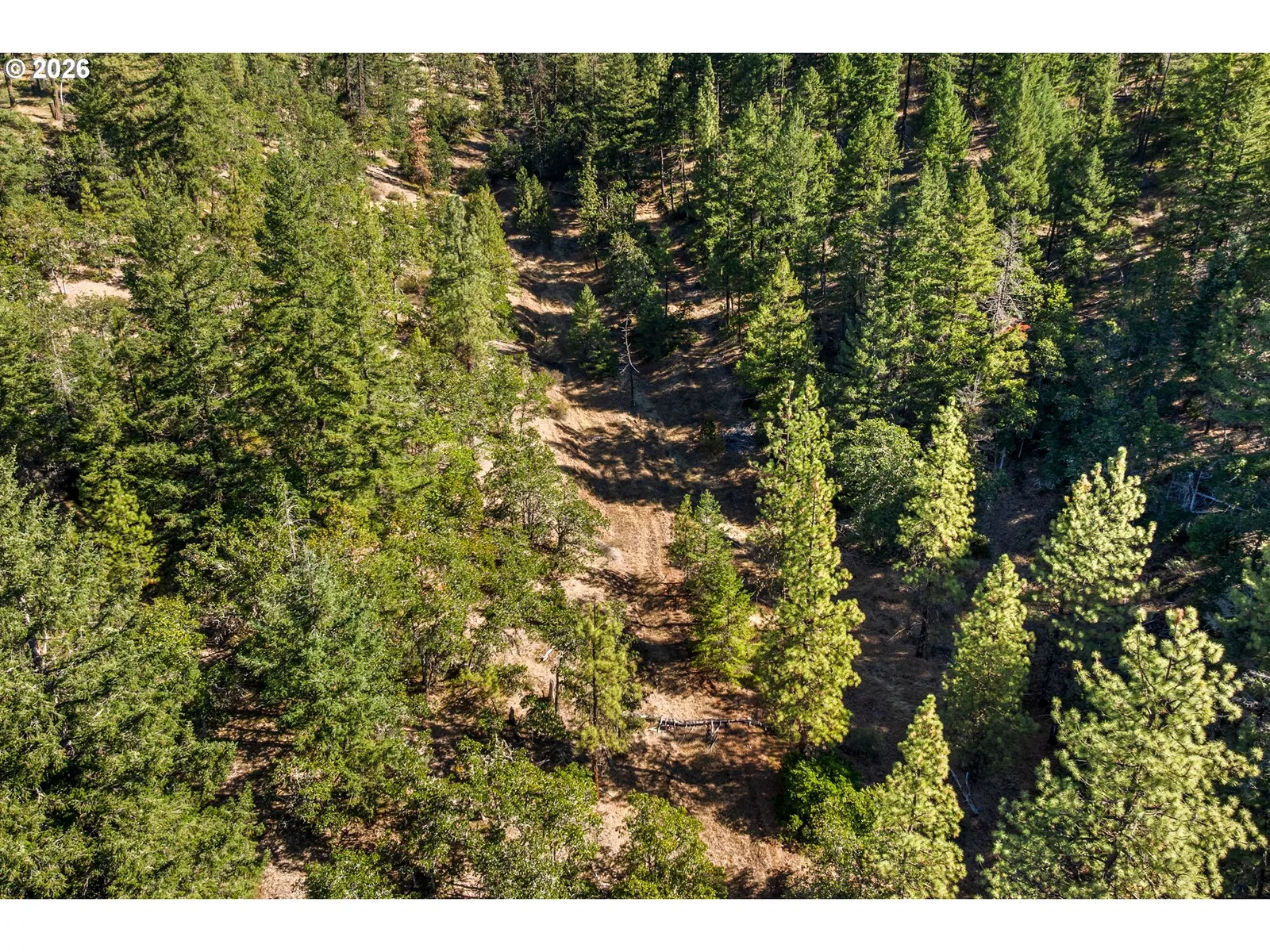 73 Long Rd, Wahkiacus, Wa 98670 — photograph 43