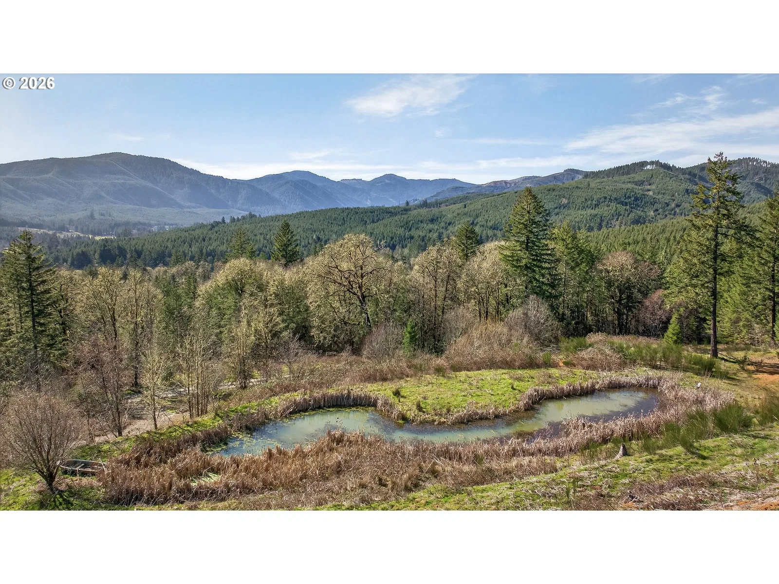 21012 NW Trask Toll Rd, Yamhill, OR 97148 — photograph 11