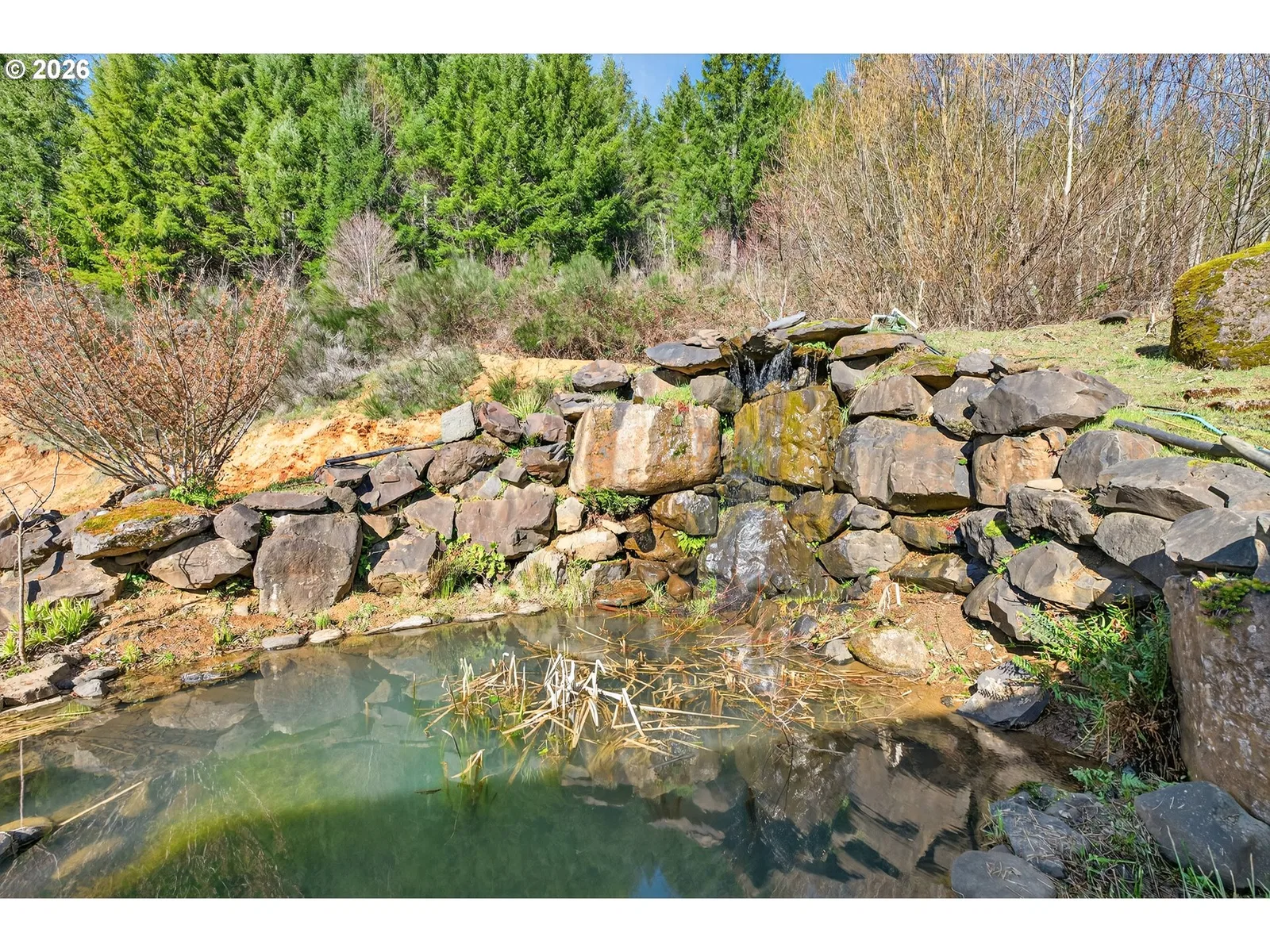 21012 NW Trask Toll Rd, Yamhill, OR 97148 — photograph 40